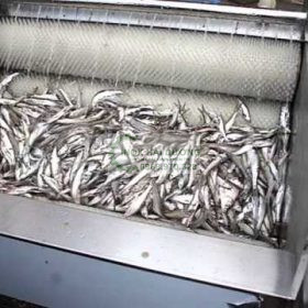Máy đánh vảy cá công nghệp -Tiết kiệm thời gian, sạch đến 99%