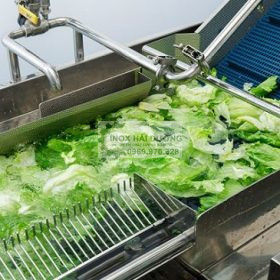 Máy rửa rau củ công nghiệp
