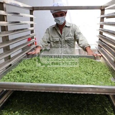 Tủ sấy tĩnh 30 khay